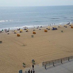 Meet your Posher, Theresa